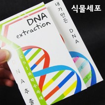 DNA 추출법 (식물세포) 10인 세트 방과후수업