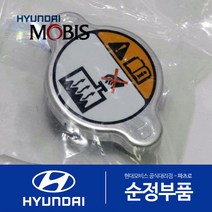 더뉴 카니발 (YP) (3세대) 순정 라디에이터 캡 뚜껑 (2018.3-2020.8)