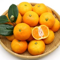 하르방마켓 제주 하우스 감귤 황금향 2kg 3kg 5kg 10kg 제주도 선물용 추석 명절 선물세트 추석과일선물세트, A-4. 최상품 감귤 선물세트 10kg