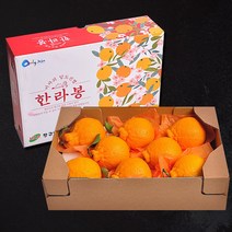 [푸르젠] 명절특가 당도좋은 제주 한라봉 선물세트, 1개, 3kg(10~12과)