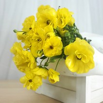 (블루밍레시피)라넌큘러스 버터플라이 피탈로스 헤라 아리아드네 생화 농가꽃, 옐로우(피탈로스)