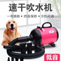 애견 강아지 고양이 드라이기 대형견 반려 동물 견 펫, 음이온버전파란색무단속도변경3단온도조절