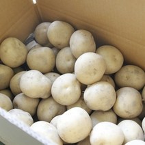 감자10KG 못난이감자 햇감자 분감자, 햇 수미감자 소 3kg