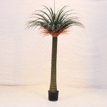 드라세나 드라코 조화(160cm) 용혈수 야자수 인테리어
