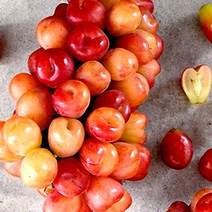 포도 마이하트, 1개