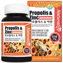 캐나다 프로폴리스 아연 90 캡슐 약 3개월분 Zinc 영양제 프로포리스 PROPOLIS, 1, 1개