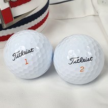 부담제로 로스트볼 타이틀리스트 유명메이커 골프공, 1set, 07. 타이틀리스트 2피스 (A+/A급)혼합 10개