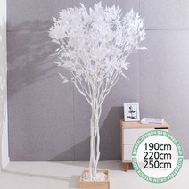 실내인테리어 인조나무 123종 / 플트 조화나무 C, C19.라인-화이트자작나무 250cmK/사방형