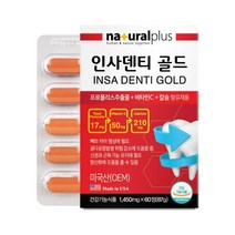 잇몸영양제 인사덴티골드 2박스 4개월분 프로폴리스 리소짐 플라보노이드 비타민C 치아 잇몸 건강기능식품 2개입 120일분, 2개