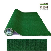 초면애 현관롤매트 먼지털이 수분제거 FL폼카페트, 그린, 1개