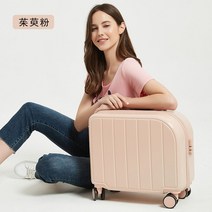 레디백 기내용 캐리어 기내 명품 연예인 승무원 반입 홈쇼핑 16 18 인치