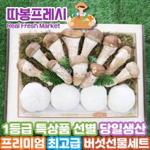 따봉프레시 당일생산 1등급 특상품 선별 프리미엄 최고급 버섯세트, 버섯세트 1호