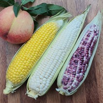 선별품 미백찰옥수수 햇옥수수 선별특가 농부직송, 미백찰옥수수 특품 20개