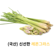 국산) 신선한 레몬그라스 200g 국산 생 레몬그라스 똠양꿍재료 태국요리재료 다카이 다까이 태국샤 아시안푸드, 1개