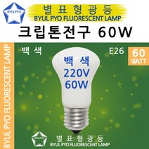 10개입 별표 크립톤전구 백열등 백열램프 백색 60W, 전구색[노란빛], 크립톤60W(불투명)E26[10개]