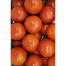 [오픈이벤트 한정수량 초대박 할인!] 토마토 (특1등급) 1kg 2kg 5kg 마감임박 / 수도권 새벽배송/ 전지역 당일배송, (특1등급) 완숙토마토 5kg (2L-2S)