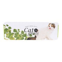 캣그라스 키우기 넘어짐 방지 긴화분 냥이 (투톤 캣닢), 캣그라스 키우기 넘어짐 방지 긴