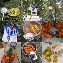 과일 피커 초경량 사과따기 원예 장대가위 과일 따는, 옐로우 폴 농축 및 강화 1.9 미터 3 섹션