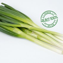 반포푸드 국내산 손질 세척 대파 600g, 3개