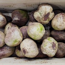 레드비트 1kg