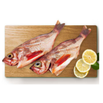 가거도 불볼락 3짜 즉석 구이 요리 가능 특대 사이즈, 대3마리