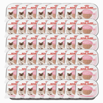 마더앤 베이비캣 캔 습식사료 100gX48P