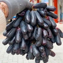 아들셋맘과일 블랙사파이어 크림슨 가지포도 캔디포도 애플청포도 1kg 2kg 4kg, 애플청포도(스윗글로브)1kg