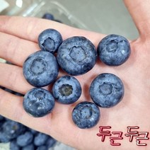 디애니몰 보령 블루베리 1kg 국산 생