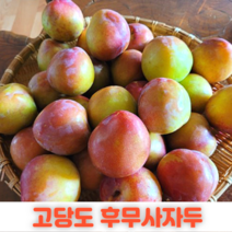 2023년 햇 자두 후무사자두 예비맘 대석자두 로얄과 영동 김천 추희 도담, 완전인기 후무사자두(산지직송) 특2kg, 1개