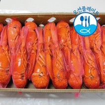 [대용량] 자숙랍스터 4.54kg 1박스 (냉동 버터구이 찜 구이), 450/500