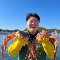 국내산 동해바다 제철 대게 수율보장, 국산대게(생물), 준박달대게 대 3마리(생물)_수율80%내외