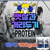 게이너 헬스 보충제 웨이 프로틴 wpc 농축유청단백 분말 근육 증가 근력 강화 운동후 운동할때 운동전 단백질 보조제 가루 노인 어르신 수험생 주부 임산부 마른사람 살찌는 식사대용
