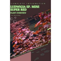 (영문도서) Ludwigia sp. Mini Super Red: From Novice to Expert. Comprehensive Aquarium Plants Guide Paperback, Independently Published, English, 9798854153102