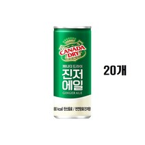 캐나다드라이 진저에일, 250ml, 20개