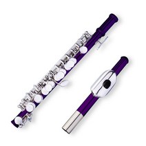 니켈 도금 C 키 백동 피글로 케이스 포함 청소 막대 천 장갑, 04 Purple