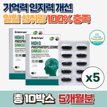 엔젯오리진 하이큐 포스파티딜세린 징코 800 뇌영양제 포스파티딜세린 식약청인증 두뇌건강 은행잎추출물 영양제, 10박스, 60캡슐