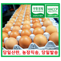 [알부자집] 무항생제계란 대란(52g~59g), 60개