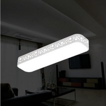 라리앙 LED주방등 30W 프리미엄 조명 삼성LED LED등 전등교체, 봄꽃, 선택완료