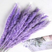 생화같은조화 대형조화나무 팜파스 팜파스그라스 조화 드라이플라워 팜파스 말린 꽃 갈대 부케 흰색 깃털 홈 장식 웨딩 장식, J