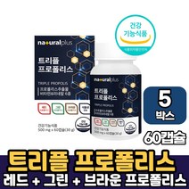 식약처 인증 프리미엄 레드 그린 브라운 푸로폴리스 트리플 프로폴리스 식물성 캡슐 츄어블 추어블 타입 영양제, 5박스, 트리플프로폴리스 x 60캡슐