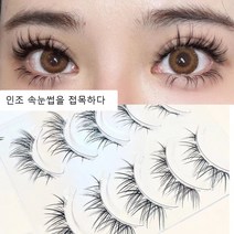 BLOWFISH FUGU만화 속눈썹 투명 라인 인조 속눈썹 컬링 인조 속눈썹 3D, 5쌍