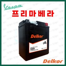 베스파 프리마베라 배터리, 선택01(TX7L), 1개