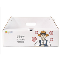 젊은농부 빨간양파즙 100ml, 100포