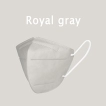 케어랩 하이클린 새부리형 컬러마스크 대형 100매 패션마스크, (대형)KF94-로얄그레이 100매, 로얄그레이, 1개, 100개입