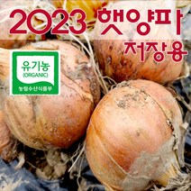아루이팜양파 2023 햇양파 친환경 유기농양파 (대/특대) 저장용, 1개, 20kg