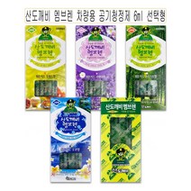 산도깨비 멤브렌 차량용 공기청정제 6ml 선택형 -O, 솔이 01-오치드향