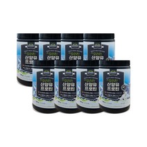 팔레오 오리진 산양유 단백질 프로틴 분말 360g, 8개