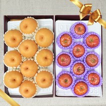 [언니네] 사과 배 1+1 선물세트 명절 필수 과일 설선물, 기본형 7.5kg