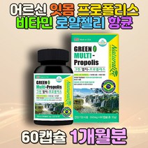 어르신 노인 잇몸건강 면역력높이는영양제 프로폴리스 60대 70대 80대 할머니 할아버지 아연이많은음식 플라보노이드 비타민A B C D E 츄어블 항균 유산균 로얄제리 페퍼민트
