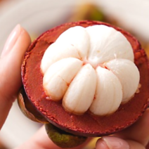[항공직송] 과일의 여왕 태국 생 망고스틴 생과 제철 열대과일 1kg 2kg, 망고스틴 2kg (500g x 4망)